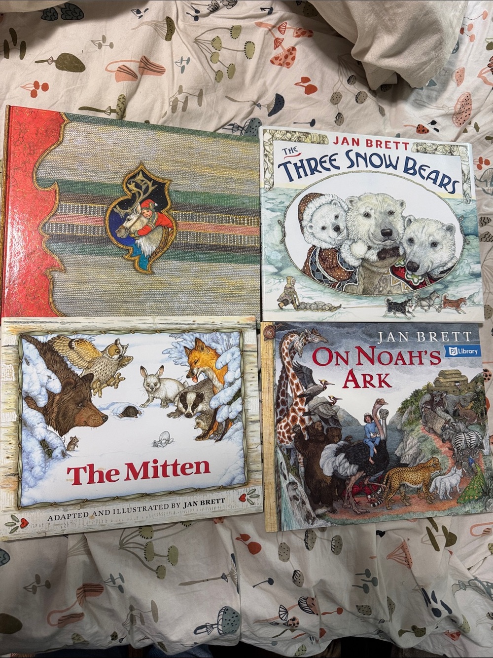 Lot of Jan Brett books Christmas holiday snow winter theme